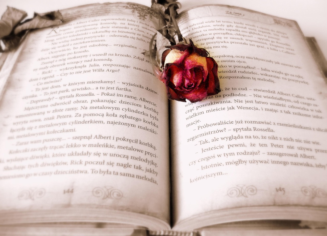Story não disponível: O que significa e como resolver rápido